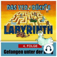 Das ver-rückte Labyrinth, Folge 4
