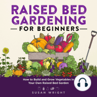 Raised Bed Gardening for Beginners