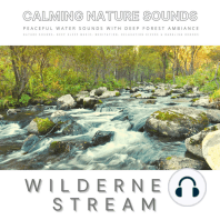 Peaceful Water Sounds With Deep Forest Ambiance