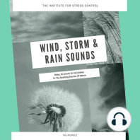 Wind, Storm & Rain Sounds for Deep Sleep, Meditation, Relaxation