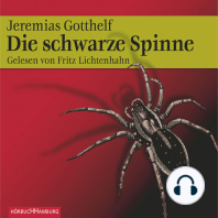 Die schwarze Spinne