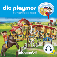 Die Playmos - Das Original Playmobil Hörspiel, Folge 80