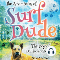 The Adventures of Surf Dude