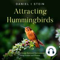 Attracting Hummingbirds