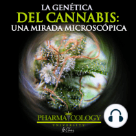 La genética del cannabis