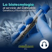 La biotecnología al servicio del cannabis