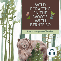 Wild Foraging In The Woods With Bernie Bo