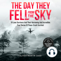 The Day They Fell From The Sky