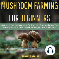 Mushroom Farming for Beginners