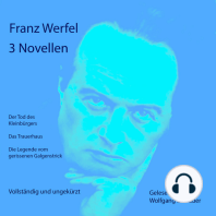 3 Novellen
