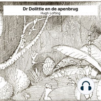 Dr Dolittle en de apenbrug