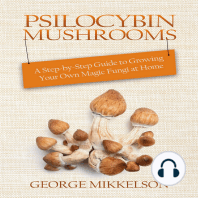 Psilocybin Mushrooms