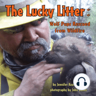 The Lucky Litter