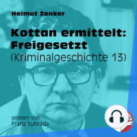 Kottan ermittelt