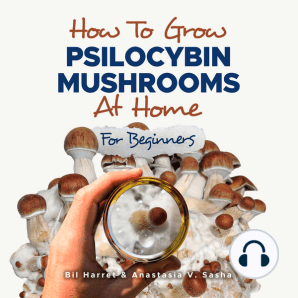 How to Grow Psilocybin Mushrooms at Home for Beginners: 5 Comprehensive Magic Mushroom Growing Methods & All You Need to Know About Psilocybin