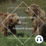 Buster Bear's Twins