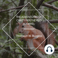 The Adventures of Chatterer the Red Squirrel