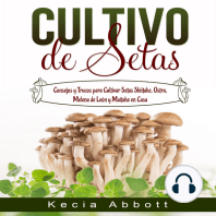 CULTIVO DE SETAS