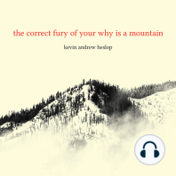 The correct fury of your why is a mountain