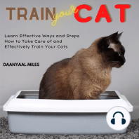 Train Your Cat