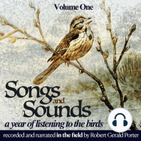 Songs & Sounds, Volume One