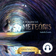 Flores para Ellen - A viagem de Meteóris, Episódio 11 (Abreviado)