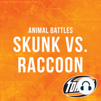 Skunk vs. Raccoon