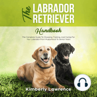 The Labrador Retriever Handbook