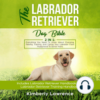 The Labrador Retriever Dog Bible