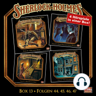Sherlock Holmes - Die geheimen Fälle des Meisterdetektivs, Box 13