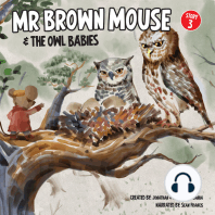 Mr Brown Mouse And The Owl Babies