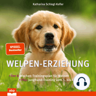 Welpen-Erziehung