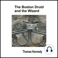 The Boston Druid and the Wizard