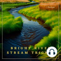 Bright River Stream Trickle