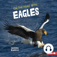 On the Hunt with Eagles