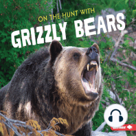 On the Hunt with Grizzly Bears