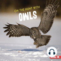 On the Hunt with Owls