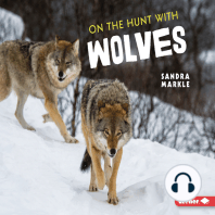 On the Hunt with Wolves
