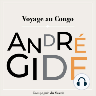 Voyage Au Congo