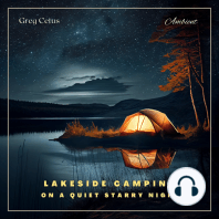Lakeside Camping On A Quiet Starry Night