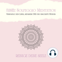 528Hz Solfeggio Meditation