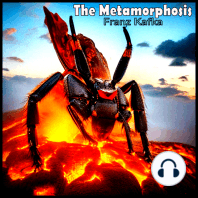 The Metamorphosis