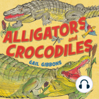 Alligators and Crocodiles