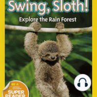 Swing, Sloth!