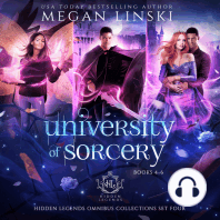 University of Sorcery, Books 4-6