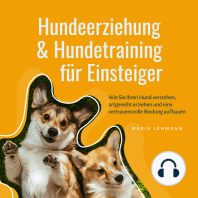 Hundeerziehung & Hundetraining für Einsteiger
