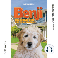 Benji - Die Abenteuer eines Mini Goldendoodles (Ungekürzt)