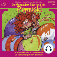 De Meischter Eder und sin Pumuckl, Nr. 9