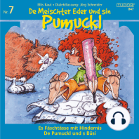 De Meischter Eder und sin Pumuckl, Nr. 7