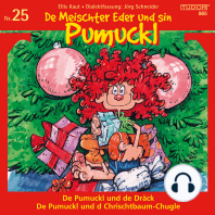 De Meischter Eder und sin Pumuckl, Nr. 25